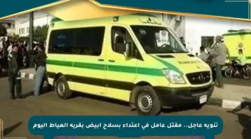 تنويه عاجل.. مقتل عامل في اعتداء بسلاح أبيض بقرية العياط اليوم